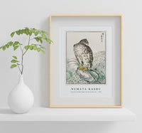 Numata Kashu - Japanese Golden Eagle and Dark Blue Sea illustration from Pictorial Monograph of Birds (1885)