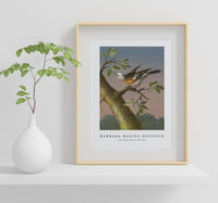 Barbara Regina Dietzsch - Sneeuwgors (Snow Bunting)