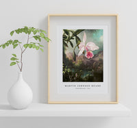 Martin Johnson Heade - Orchid Blossoms (1873)