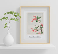 Megata Morikaga - Kaido pyrus spectabalis during 1870–1880