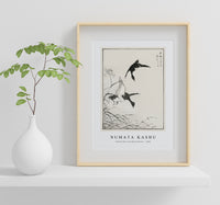 Numata Kashu - Tufted-Teal and Reed Flower illustration from Pictorial Monograph of Birds (1885)