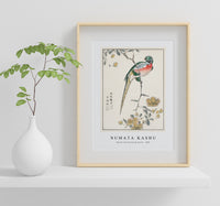 Numata Kashu - Macaw and Drooping Peach illustration from Pictorial Monograph of Birds (1885)