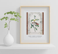 John James Audubon - Crimson fronted Purple Finch