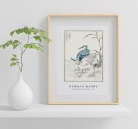 Numata Kashu - Night Heron and Little Egret illustration from Pictorial Monograph of Birds (1885)