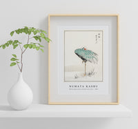 Numata Kashu - White-naped Crane and New Years Fern illustration from Pictorial Monograph of Birds (1885)