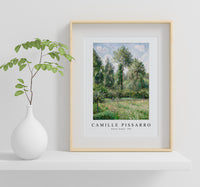 Camille Pissarro - Poplars, Éragny 1895