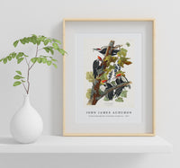 John James Audubon - Pileated Woodpecker from Birds of America (1827)