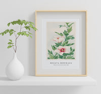 Megata Morikaga - Hibiscus plant during 1870–1880