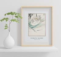 Numata Kashu - Wooper Swan illustration from Pictorial Monograph of Birds (1885)