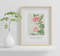 Megata Morikaga - Tsubaki camelia during 1870–1880