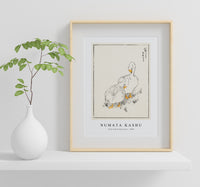 Numata Kashu - Duck and Young Grass illustration from Pictorial Monograph of Birds (1885)