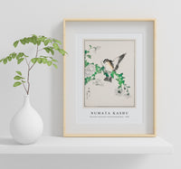 Numata Kashu - Narcissus Flycatcher and Chrysanthemum illustration from Pictorial Monograph of Birds (1885)