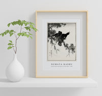 Numata Kashu - Eastern Rook and Cypress on New Moon illustration from Pictorial Monograph of Birds (1885)