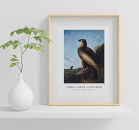 John Jadmes Audubon - Washington Sea Eagle (ca. 1836–1839)