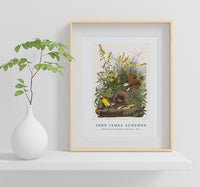 John James Audubon - Meadow Lark from Birds of America (1827)