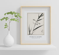 Numata Kashu - Reed-Bunting and Reed illustration from Pictorial Monograph of Birds (1885)