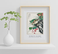 Numata Kashu - Japanese Hawfinch and Pirus Spectabilis illustration from Pictorial Monograph of Birds (1885)