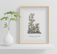 Johan Teyler - Blooming thistles