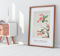 Megata Morikaga - Kaido pyrus spectabalis during 1870–1880