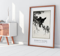 Numata Kashu - Eastern Rook and Cypress on New Moon illustration from Pictorial Monograph of Birds (1885)