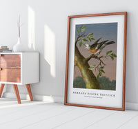 Barbara Regina Dietzsch - Sneeuwgors (Snow Bunting)