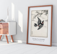 Numata Kashu - Hondo Great Spotted Woodpecker illustration from Pictorial Monograph of Birds (1885)