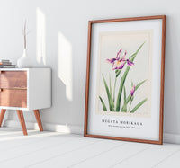 Megata Morikaga - Hana–strobel during 1870–1880