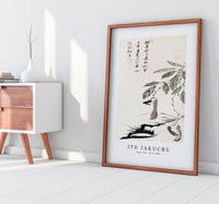 Ito Jakuchu - Bean Vine illustration by Ito Jakuchu (1716–1800)