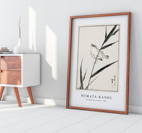 Numata Kashu - Reed-Bunting and Reed illustration from Pictorial Monograph of Birds (1885)