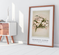 Frederick Sander - Coelogyne cristata maxima from Reichenbachia Orchids-1847-1920