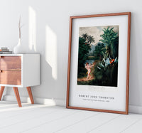 Robert John Thornton - Cupid Inspiring Plants with Love from The Temple of Flora (1807)