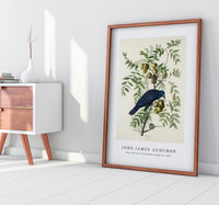 John James Audubon - American Crow from Birds of America (1827)