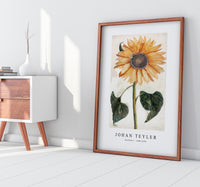 Johan Teyler - Sunflower (1688-1698)