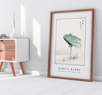 Numata Kashu - White-naped Crane and New Years Fern illustration from Pictorial Monograph of Birds (1885)