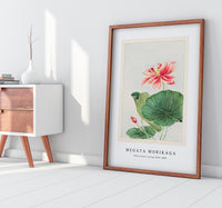 Megata Morikaga - Hasu (lotus) during 1870–1880