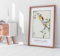 Numata Kashu - Japanese Meadow Bunting and Golden Ball illustration from Pictorial Monograph of Birds (1885)