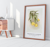 Frederick Sander - Cattleya citrina from Reichenbachia Orchids-1847-1920