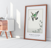 Numata Kashu - Japanese Common Kingfisher illustration from Pictorial Monograph of Birds (1885)