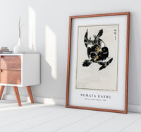 Numata Kashu - Japanese Jungle Nightjar illustration from Pictorial Monograph of Birds (1885)