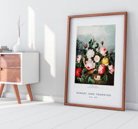 Robert John Thornton - Roses from The Temple of Flora (1807)