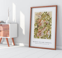 Maurice Pillard Verneuil - Rouget from L'animal dans la décoration (1897)