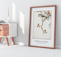 Numata Kashu - Siskin and Euonymus Alata illustration from Pictorial Monograph of Birds (1885)