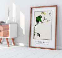 Numata Kashu - Fairy Pitta and Japanese Allspice illustration from Pictorial Monograph of Birds (1885)