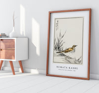 Numata Kashu - Chinese Tree-Pipit and Wheat illustration from Pictorial Monograph of Birds (1885)