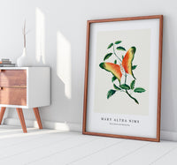 Mary Altha Nims - Rose Bush and Butterfly