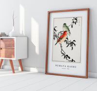 Numata Kashu - Crossbill illustration from Pictorial Monograph of Birds (1885)