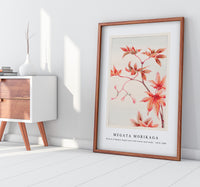 Megata Morikaga - Branch of Momiji maple tree with leaves and seeds during 1870–1880