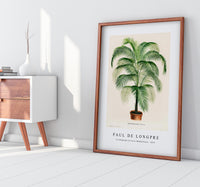 Paul de Longpre - A lithograph of Cocos Weddelliana 1875