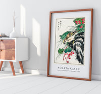 Numata Kashu - Japanese Hawfinch and Pirus Spectabilis illustration from Pictorial Monograph of Birds (1885)