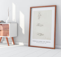 Cornelis ploos van amstel - Drie studies van een putto-1746